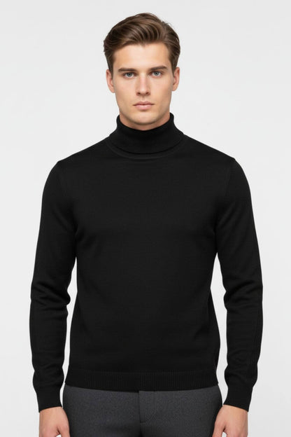 Caurelle | Men’s Autumn & Winter Solid Turtleneck Pullover Jumper