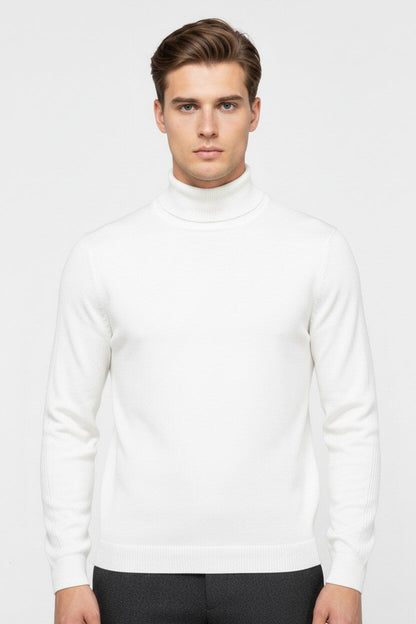 Caurelle | Men’s Autumn & Winter Solid Turtleneck Pullover Jumper